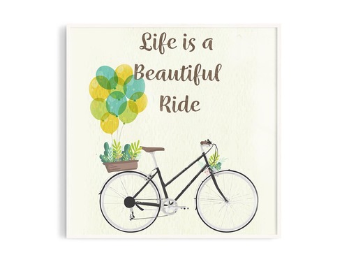 Life is a beautiful ride 7