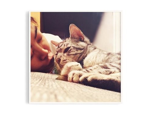 映畫定格沖映服務