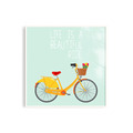 Life is a beautiful ride 1號