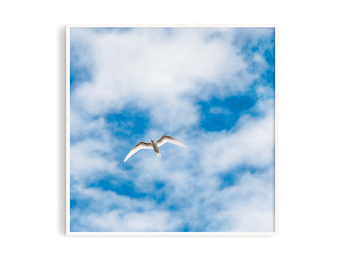 天空1