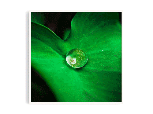 下雨2