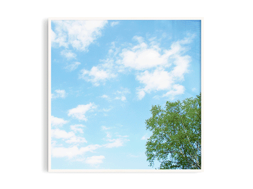 天空50
