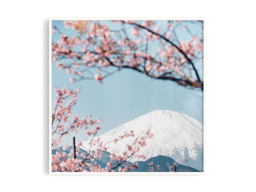 日本17