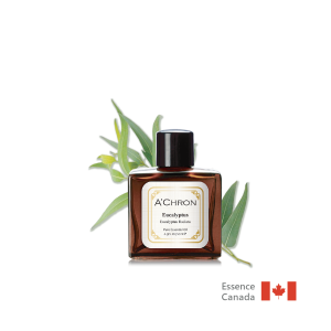 深呼吸澳洲尤加利  Eucalyptus  10ml