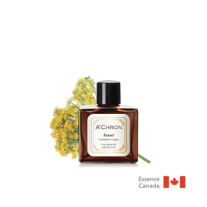 暖胃甜茴香  Fennel  10ml