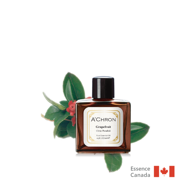 解痛冬青  Wintergreen  10ml