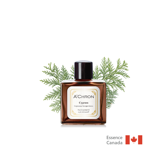 內斂絲柏  Cypress  10ml