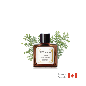 內斂絲柏  Cypress  10ml