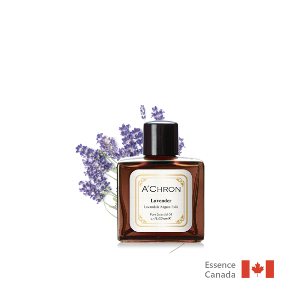 全能真正薰衣草 Lavandula Angustifolia  10ml