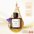 全能真正薰衣草 Lavandula Angustifolia 10ml_1