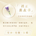 全能真正薰衣草 Lavandula Angustifolia 10ml_2