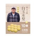 2025白玉水梨．10粒裝