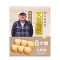 2025天皇雪梨．6粒裝AA級