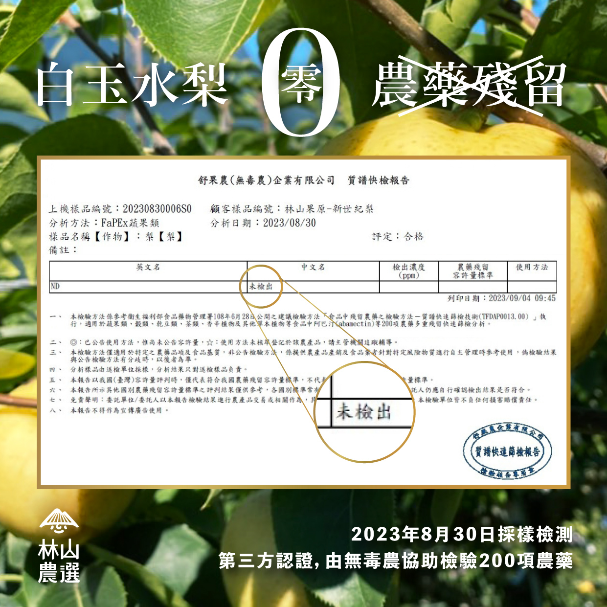 ◤ 林山農選『果原』#經典白玉水梨  #無農藥檢出 ◢