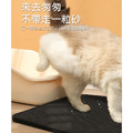 雙層貓砂墊 EVA寵物墊 蜂巢式孔洞腳踏墊 (黑色 45*60cm)_4
