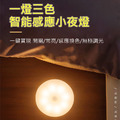 人體感應燈 馬卡龍LED小夜燈 露營燈 (USB充電)_1