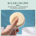 2支★日式長柄沐浴刷 搓澡洗背刷 軟毛洗澡刷_3
