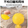 3顆★超黏捕蠅球 黏蠅球 害蟲/果蠅/蒼蠅(黃色)_3