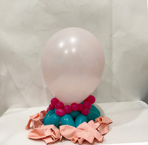 10吋圓形-標準面/淡粉SR10 ( T牌 )Light powder