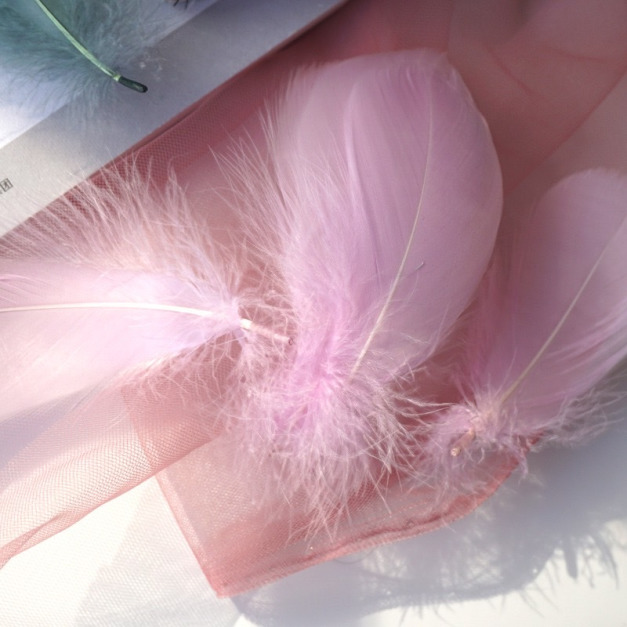填充短羽毛-乾燥玫瑰色
