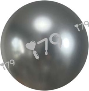 10吋圓形-金屬面銀色J09( 星牌 )silver