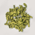 10吋圓形-金屬面淺綠色J11( 星牌 )metallic light green_1