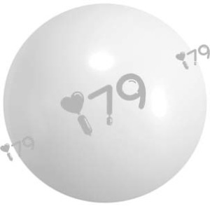 10吋圓形-標準白色Y01(星牌)White