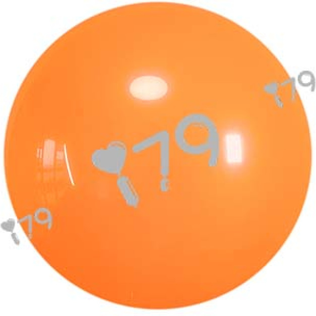 10吋圓形-標準橘色Y10(星牌)Orange