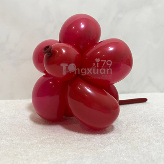 260長條-標準面/棗紅色SR1(T牌) Dates Red