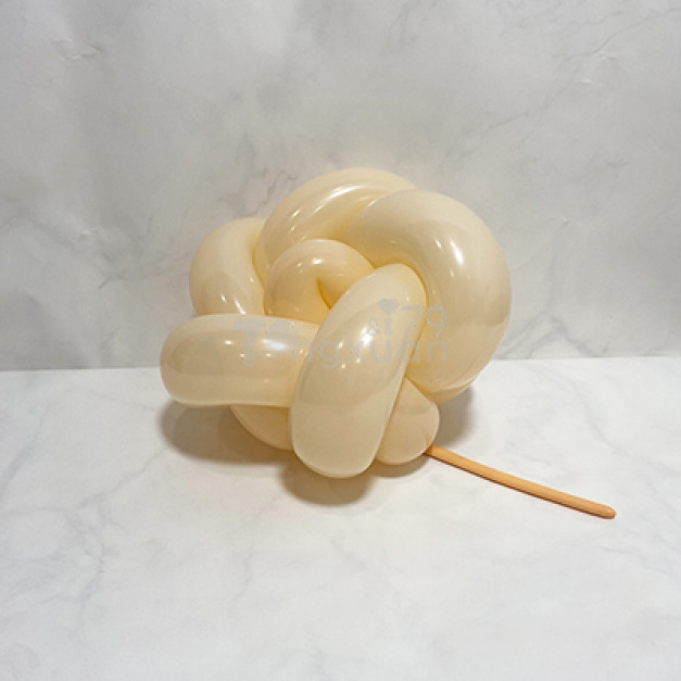 260長條-標準面/馬卡香檳色SO3(T牌) Maca Champagne