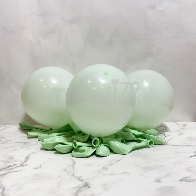 5吋圓形-標準面/馬卡淡綠色SG2(T牌)Maca light green