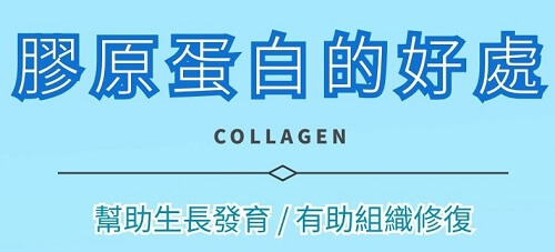 【膠原蛋白好處這麼多】竟然一個月就有效果了？！ | 北極星Polestar