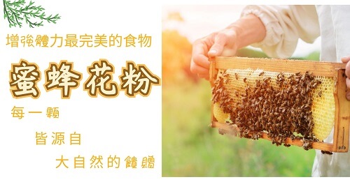 【迅速補充體力食物 】有了它3秒補充營養 | 北極星Polestar