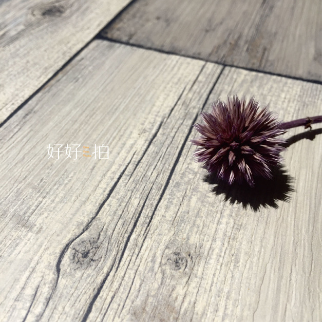 [已絕版]那段舊時光｜拍照背景板