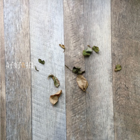 斑駁的記憶｜拍照背景板