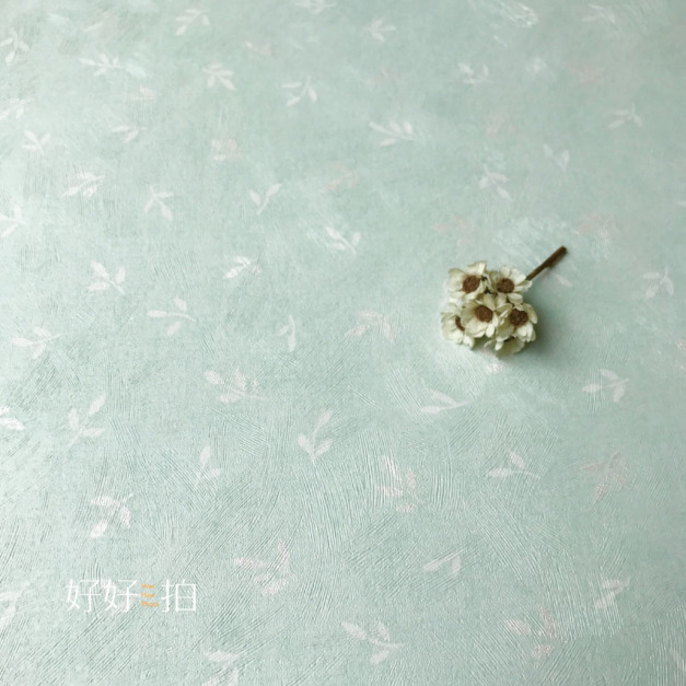 [已絕版] 小葉子｜拍照背景板