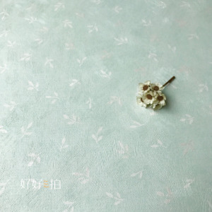 [已絕版] 小葉子｜拍照背景板