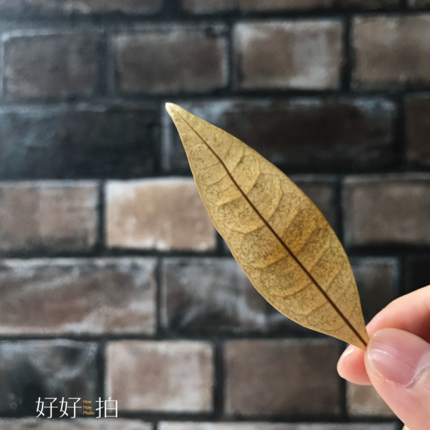 [已絕版] 煙燻妝｜拍照背景板