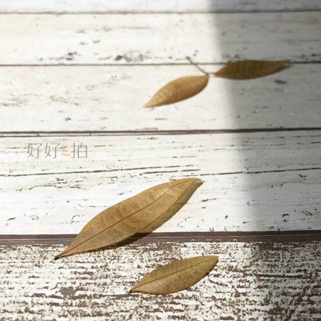 [已絕版] 歲月的流轉｜拍照背景板