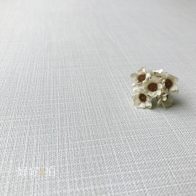 [已絕版] 霧色漫漫｜拍照背景板