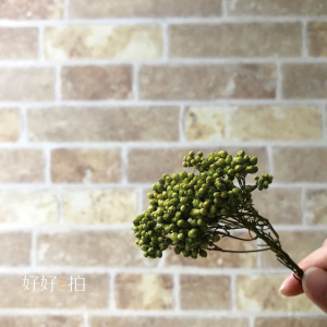 [已絕版] 久違了．夕陽｜拍照背景板