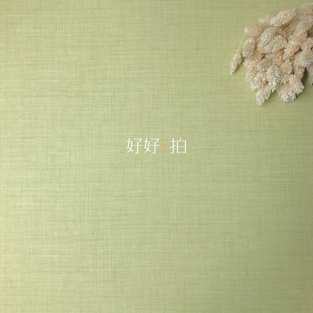 [已絕版] 青草地｜拍照背景板