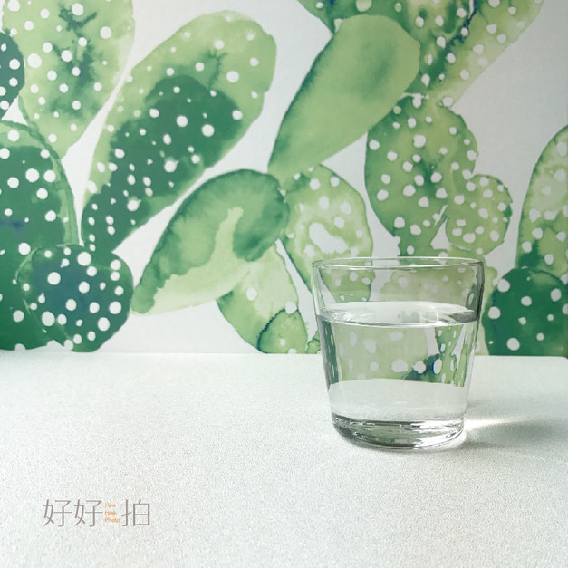 [已絕版] 城市中的仙人掌｜拍照背景板