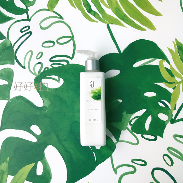 [已絕版] 身旁的一抹綠意｜拍照背景板