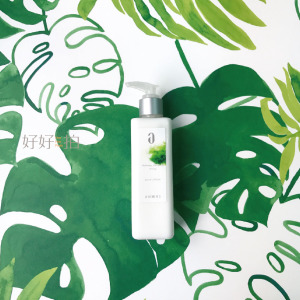 [已絕版] 身旁的一抹綠意｜拍照背景板