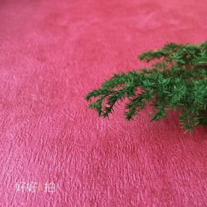 [已絕版] 大紅｜拍照背景板