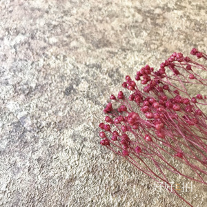 華麗巴洛克（古銅）｜拍照背景板