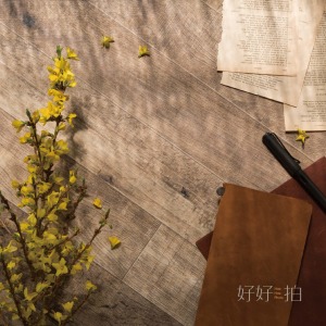 [訂製] 古木斜陽｜60x60cm 拍照背景板