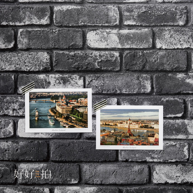 [訂製] 夜醺｜拍照背景板