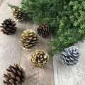 乾燥松果（共7款）_6